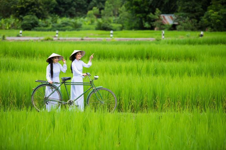 Hotspot Matrix: Biến Thống đốc bang Nam Úc: 