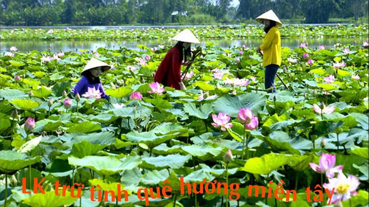 Xu hướng 