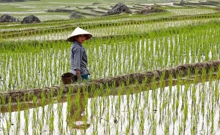 Tiếp Thị Kỹ Thuật Số – Bệ Phóng Hiệu Quả Cho Người Khởi Nghiệp Trong Kỷ Nguyên Video