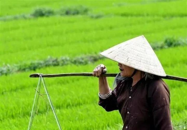Trong những năm gần đây, xu hướng về thể thao và sức khỏe ngày càng trở nên